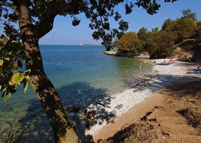 Albatross Mobile Homes On Valamar Lanterna 4*